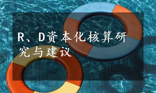 R、D资本化核算研究与建议