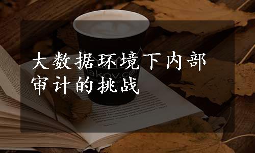 大数据环境下内部审计的挑战