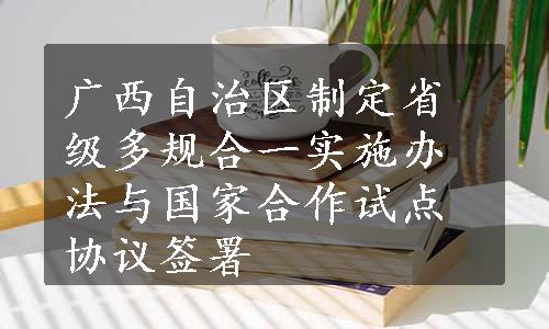 广西自治区制定省级多规合一实施办法与国家合作试点协议签署