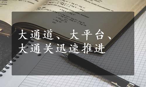 大通道、大平台、大通关迅速推进