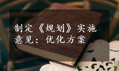 制定《规划》实施意见：优化方案