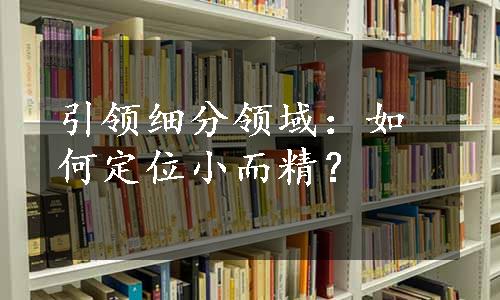 引领细分领域：如何定位小而精？