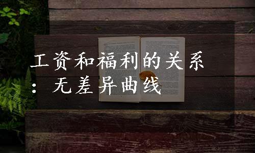 工资和福利的关系：无差异曲线