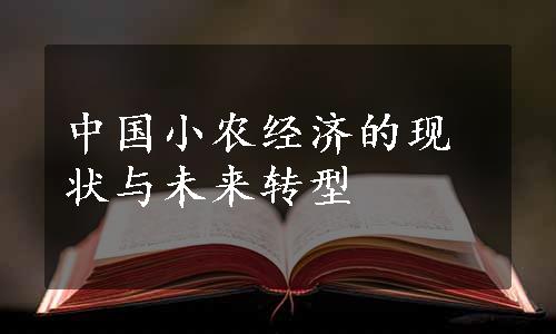 中国小农经济的现状与未来转型