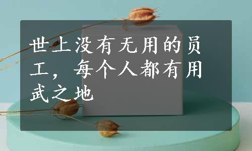 世上没有无用的员工，每个人都有用武之地