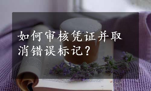 如何审核凭证并取消错误标记？