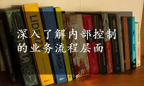 深入了解内部控制的业务流程层面