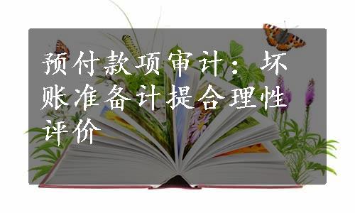 预付款项审计：坏账准备计提合理性评价