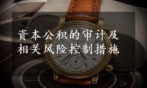 资本公积的审计及相关风险控制措施