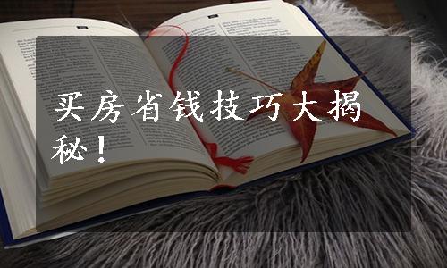 买房省钱技巧大揭秘！