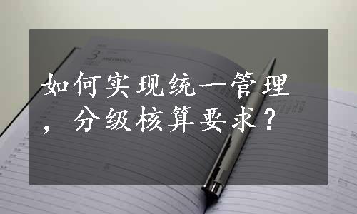 如何实现统一管理，分级核算要求？