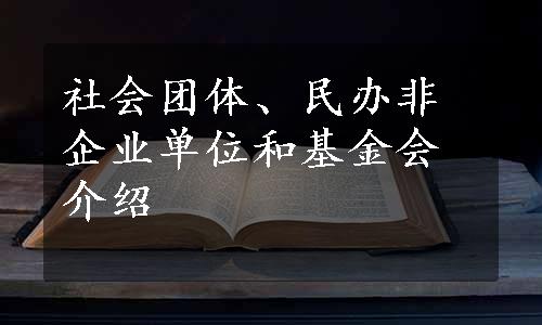 社会团体、民办非企业单位和基金会介绍