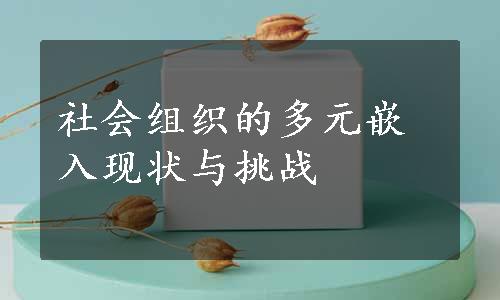 社会组织的多元嵌入现状与挑战