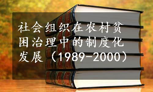 社会组织在农村贫困治理中的制度化发展（1989-2000）