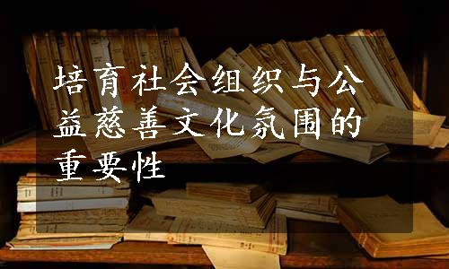 培育社会组织与公益慈善文化氛围的重要性