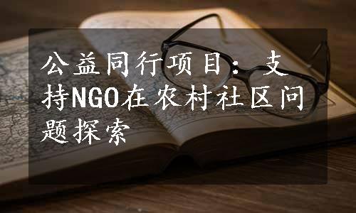 公益同行项目：支持NGO在农村社区问题探索