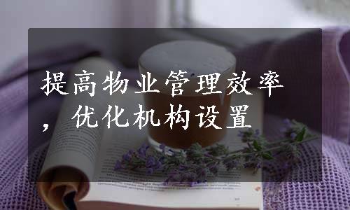 提高物业管理效率，优化机构设置