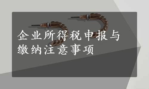 企业所得税申报与缴纳注意事项