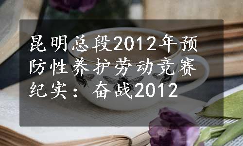 昆明总段2012年预防性养护劳动竞赛纪实：奋战2012