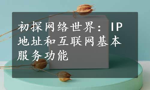 初探网络世界：IP地址和互联网基本服务功能