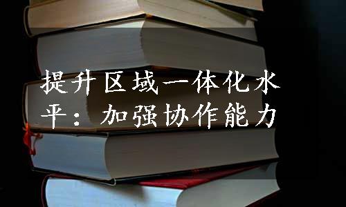 提升区域一体化水平：加强协作能力