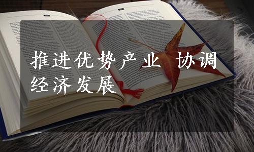 推进优势产业 协调经济发展