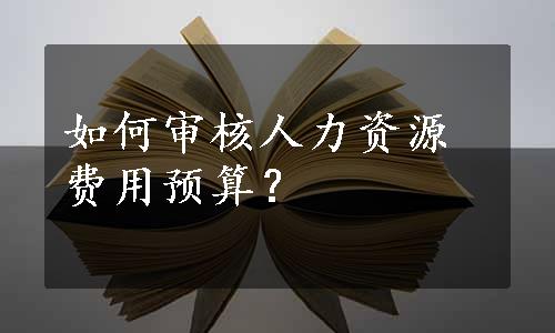 如何审核人力资源费用预算？