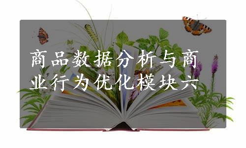 商品数据分析与商业行为优化模块六