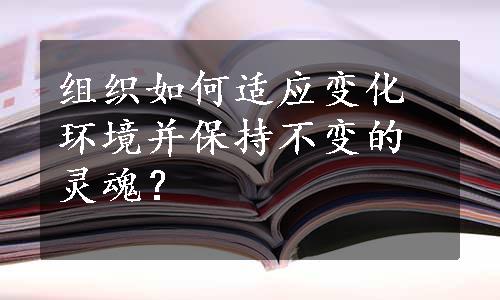 组织如何适应变化环境并保持不变的灵魂？