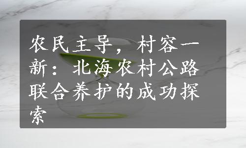 农民主导，村容一新：北海农村公路联合养护的成功探索