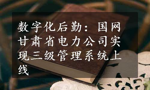 数字化后勤：国网甘肃省电力公司实现三级管理系统上线