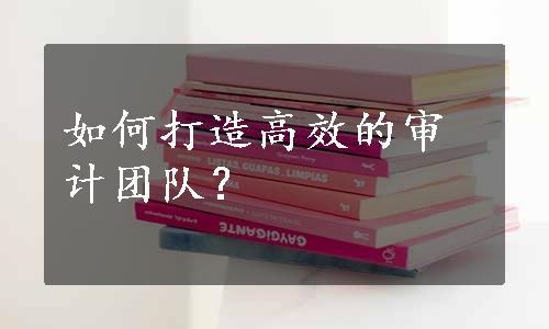 如何打造高效的审计团队？