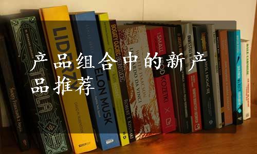 产品组合中的新产品推荐