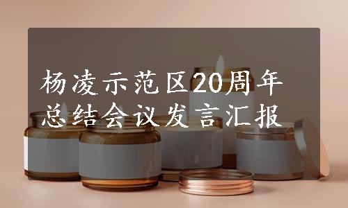 杨凌示范区20周年总结会议发言汇报