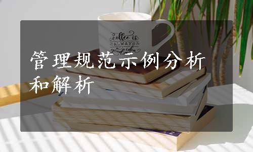 管理规范示例分析和解析