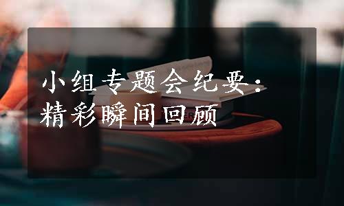 小组专题会纪要：精彩瞬间回顾