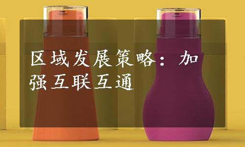 区域发展策略：加强互联互通