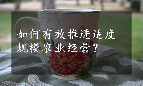 如何有效推进适度规模农业经营？