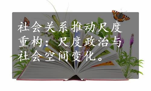 社会关系推动尺度重构：尺度政治与社会空间变化。