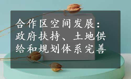 合作区空间发展：政府扶持、土地供给和规划体系完善