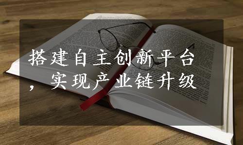 搭建自主创新平台，实现产业链升级