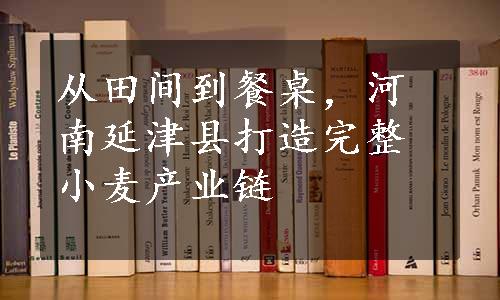 从田间到餐桌，河南延津县打造完整小麦产业链