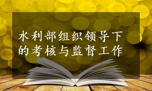 水利部组织领导下的考核与监督工作