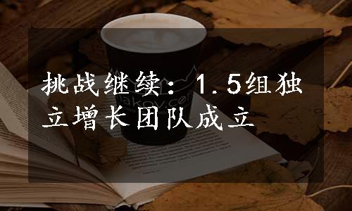 挑战继续：1.5组独立增长团队成立