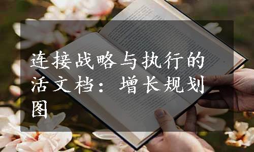 连接战略与执行的活文档：增长规划图