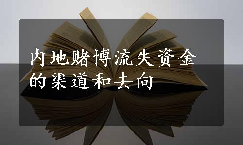 内地赌博流失资金的渠道和去向