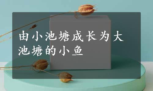 由小池塘成长为大池塘的小鱼