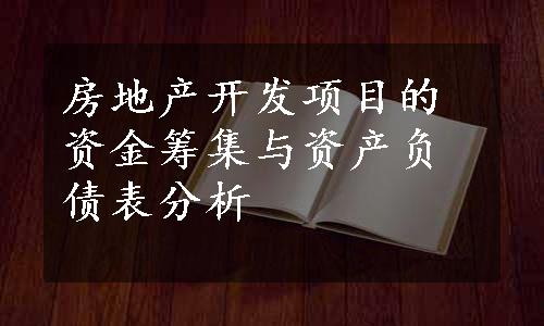 房地产开发项目的资金筹集与资产负债表分析