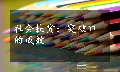 社会扶贫：突破口的成效