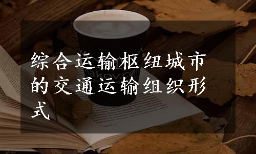 综合运输枢纽城市的交通运输组织形式